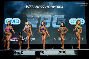 WELLNESS НОВИЧКИ